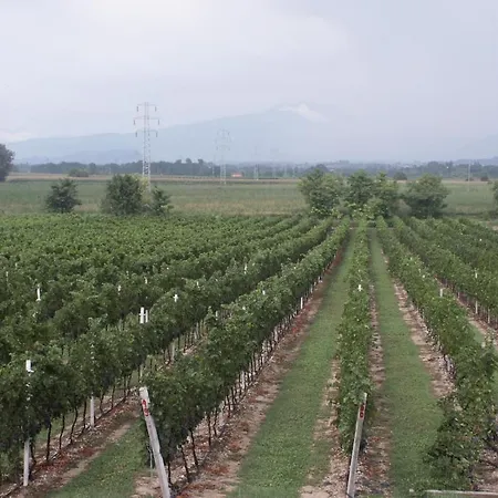 Colombarola
