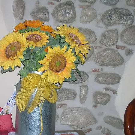 Gospodarstwo wiejskie Colombarola *